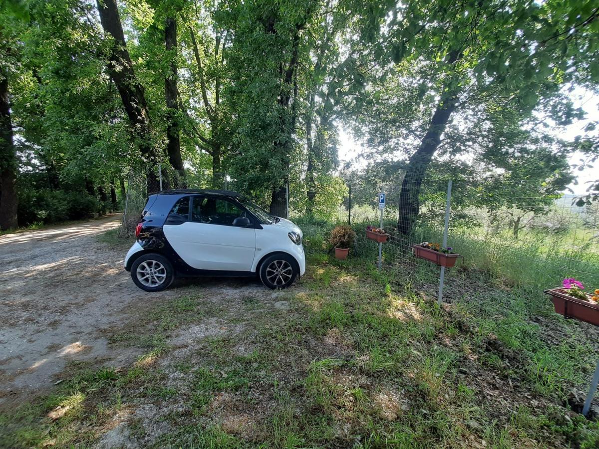 Poggio Della Roverella Country House Morlupo Zewnętrze zdjęcie